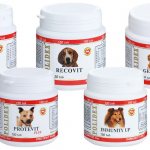 Polidex vitamins for dogs (Polidex)