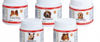 Polidex vitamins for dogs (Polidex)