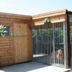 Dog enclosures: a cozy home for your beloved pet