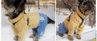 We knit for small breed dogs according to patterns with descriptions