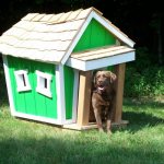 choosing a location for a dog house