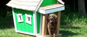 choosing a location for a dog house