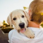 healthy dog ​​hugs owner